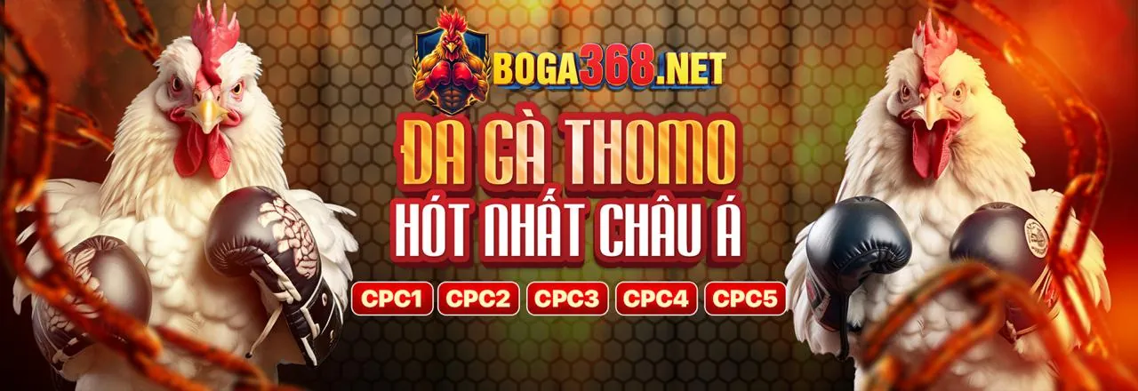 Hình ảnh chính sách cookie đảm bảo an toàn dữ liệu người dùng tại Đá Gà Trực Tiếp Thomo